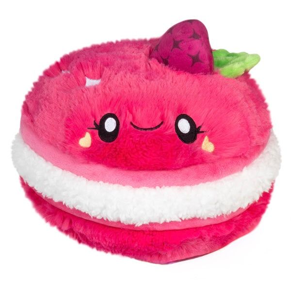 Mini Raspberry Macaron