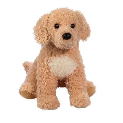 Noodle GOLDEN DOODLE