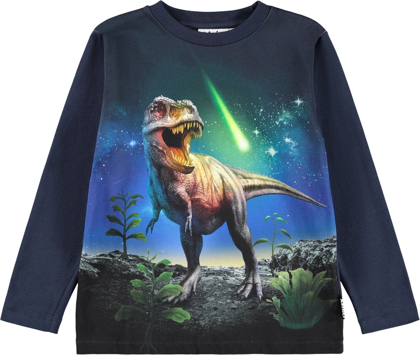 Reif LS Meteor Dino