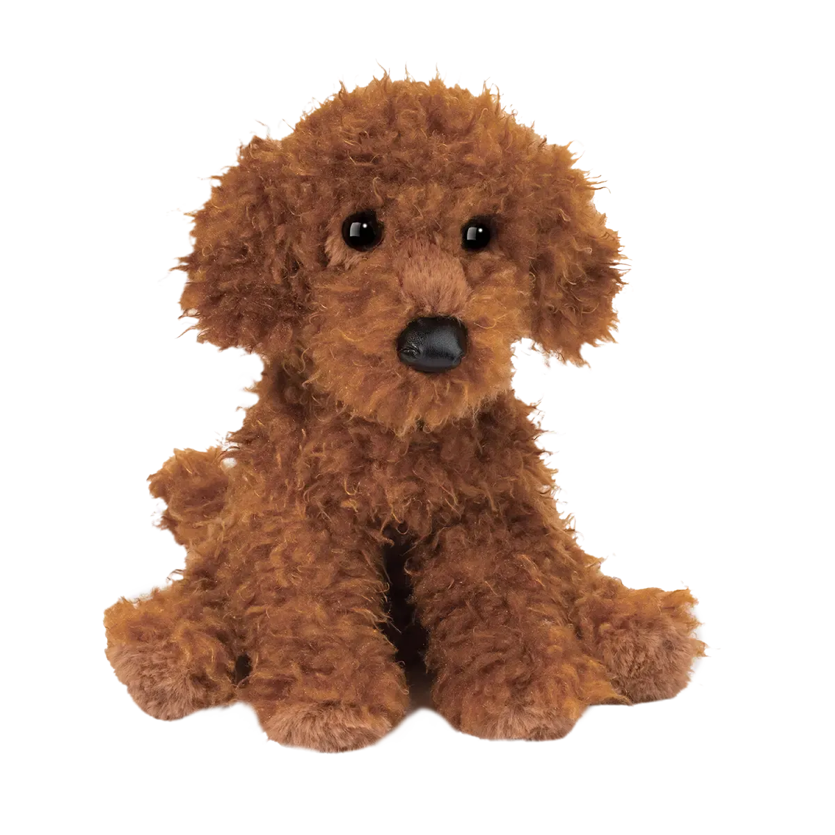Ginger MINIATURE POODLE