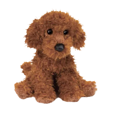 Ginger MINIATURE POODLE