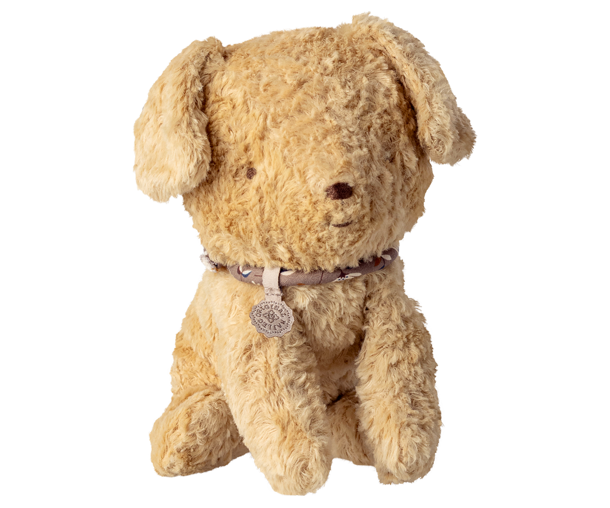 Puppy, Small-Soft Sand