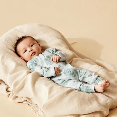 Little Lion Onepiece
