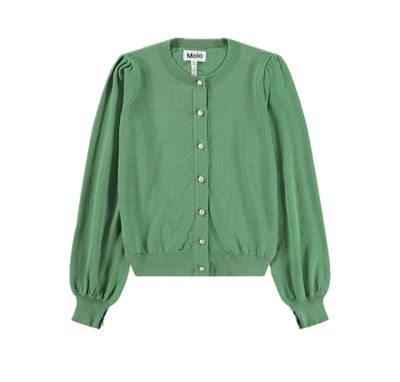 Guinevere Groovy Green Sweater