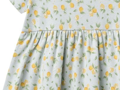 Blue Lemon Dress