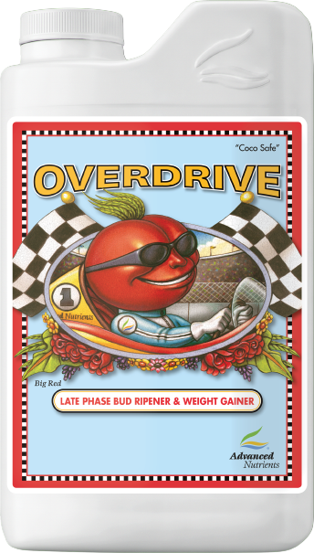 OVERDRIVE 1L