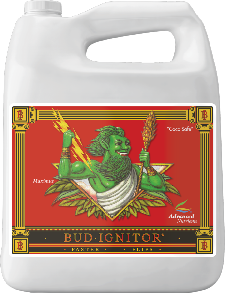 BUD IGNITOR 4L