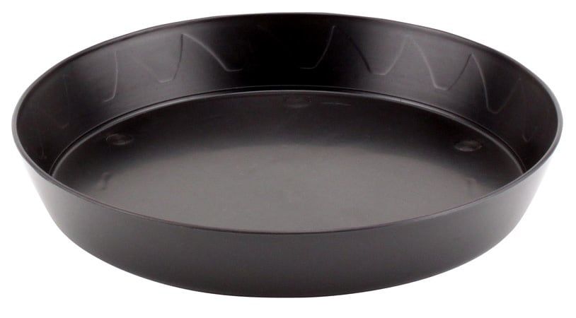 8" BLACK SAUCER