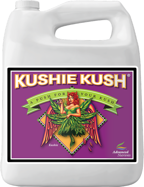 KUSHIE KUSH 4L