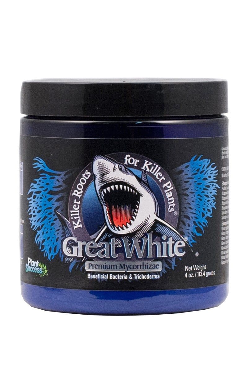 GREAT WHITE 4OZ