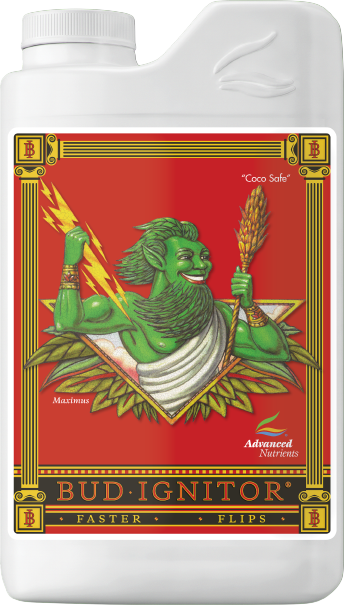 BUD IGNITOR 1L