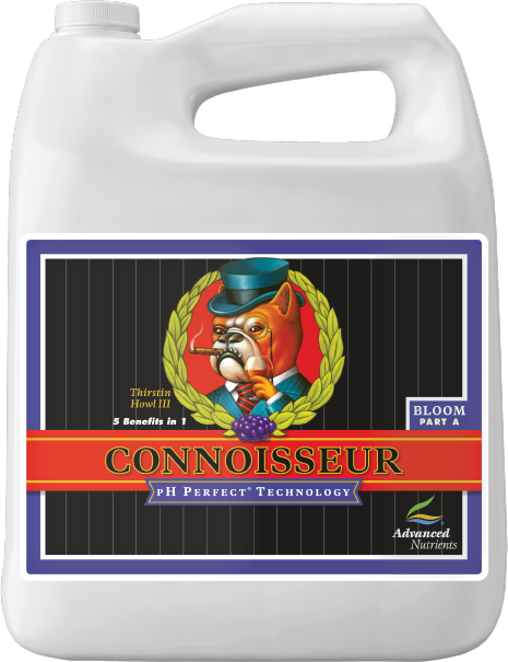 CONNOISSEUR BLOOM PART A 4L