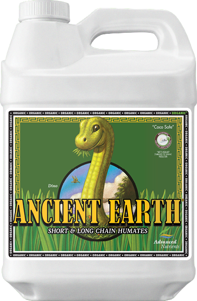 ORGANIC ANCIENT EARTH 500ML