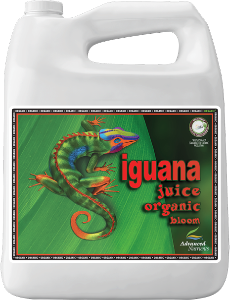 IGUANA JUICE BLOOM 4L