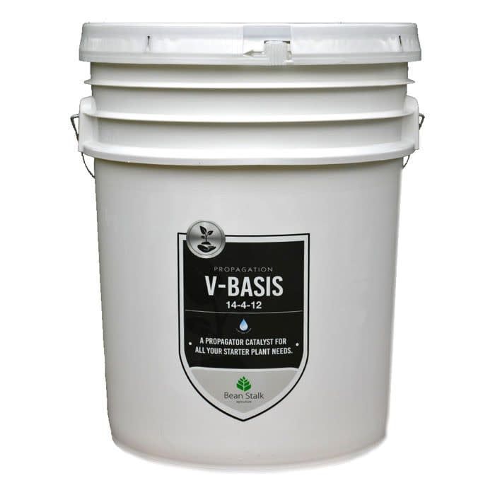 BEAN STALK V-BASIS 50LB