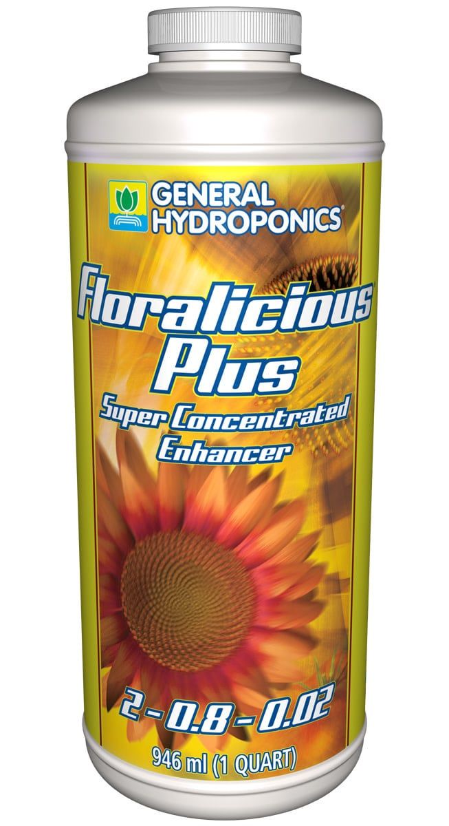 GH FLORALICIOUS PLUS QT