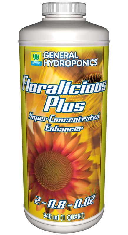 GH FLORALICIOUS PLUS QT