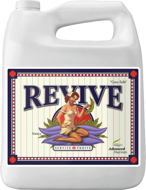 REVIVE 4L
