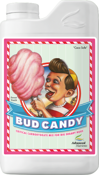BUD CANDY 1L