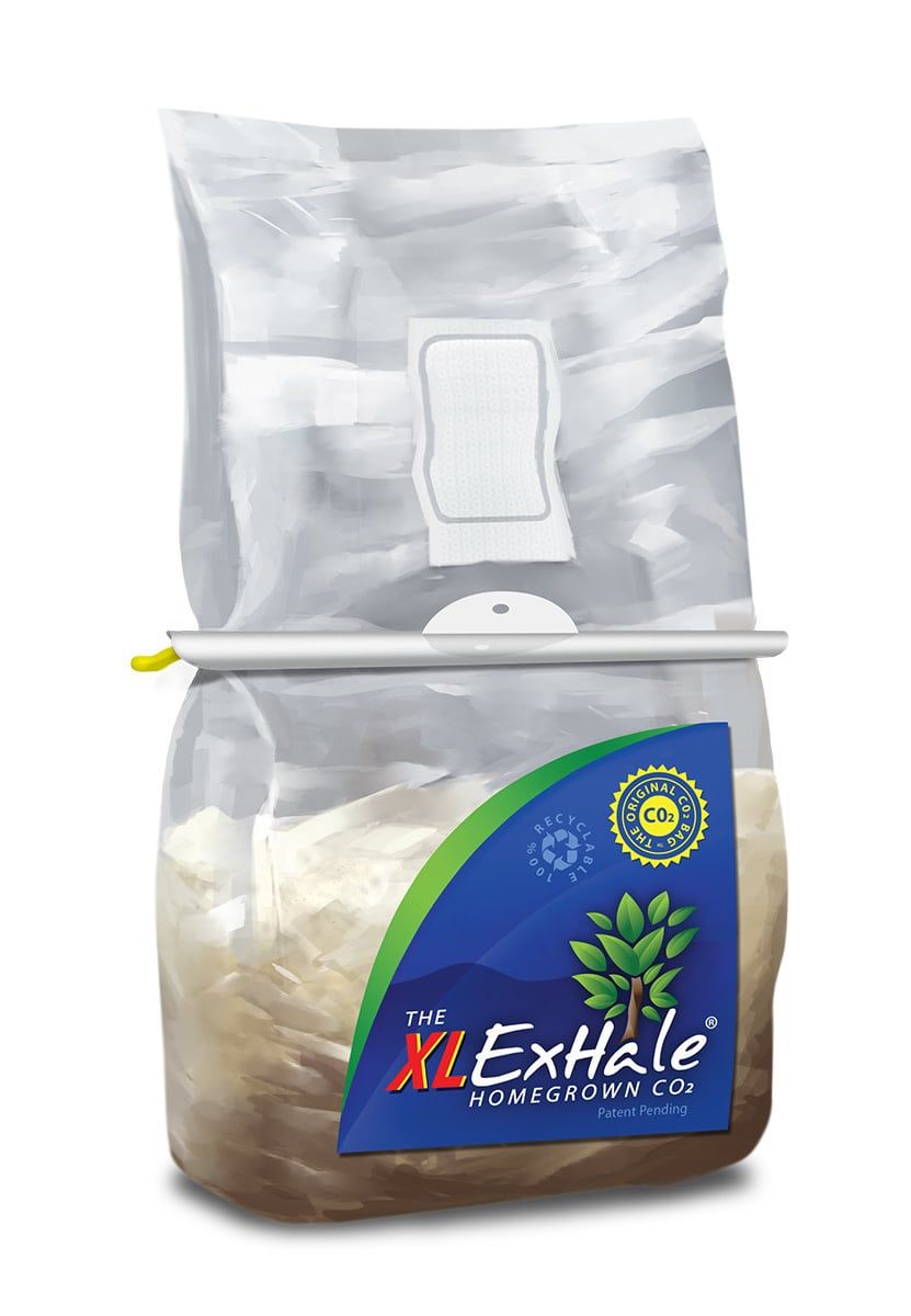 EXHALE XL HOMEGROWN CO2 BAGS