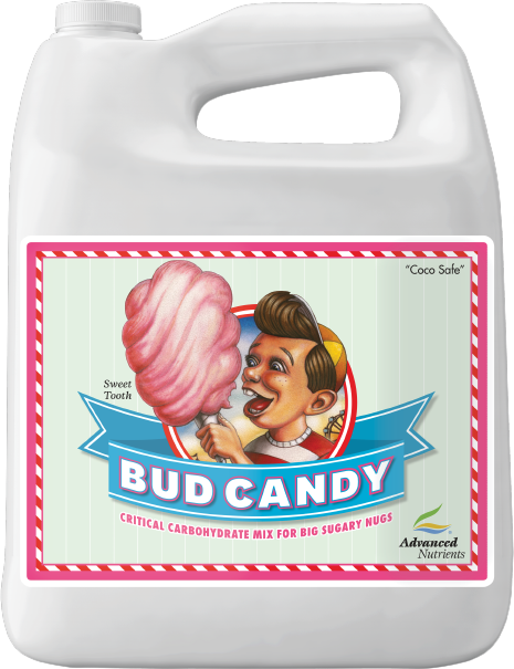 BUD CANDY 4L