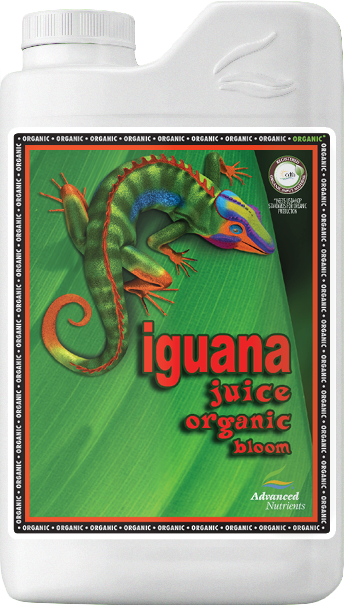 IGUANA JUICE BLOOM 1L