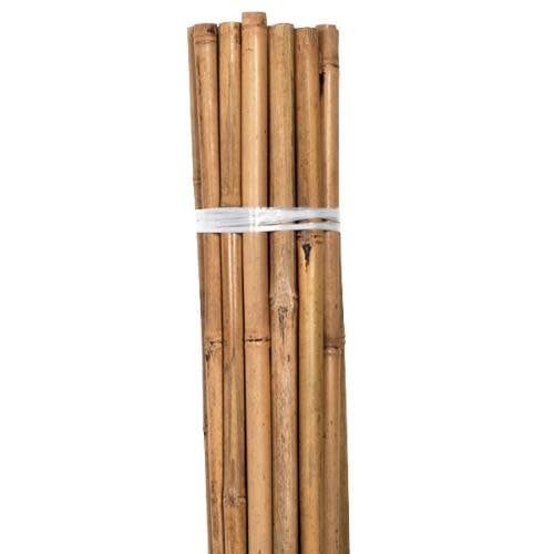 BAMBOO STAKE 8 FT (50 PACK)