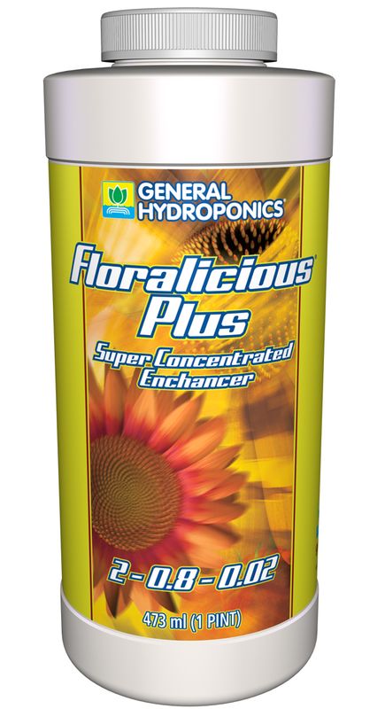 GH FLORALICIOUS PLUS PINT