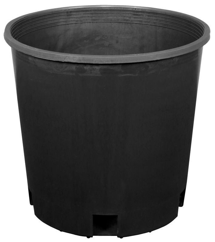 2 GAL PREMIUM NURSERY POT