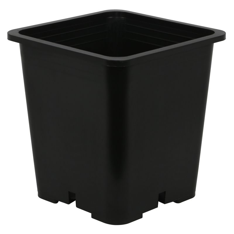 9"x9" SQUARE BLACK POT