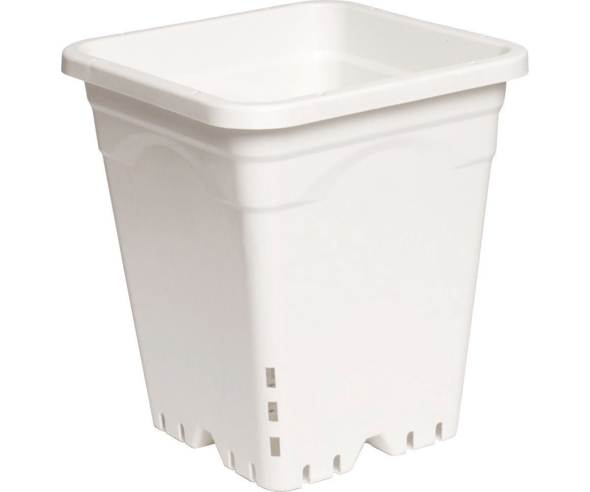 9X9 SQUARE WHITE POT