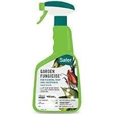 SAFER GARDEN FUNGICIDE II RTU QUART