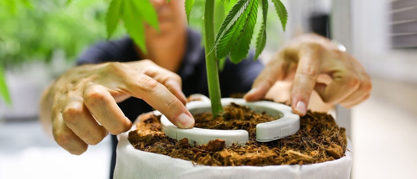 NETAFIM NETBOW 5" 4MM OUTLET BARBED