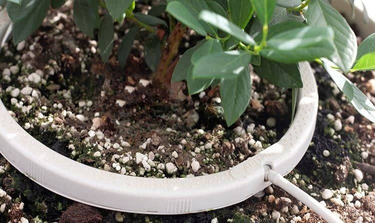 NETAFIM NETBOW 10" 8 OUTLET BARBED