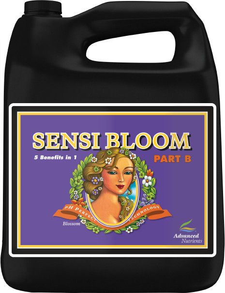 SENSI BLOOM PART B 4L