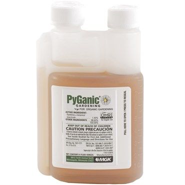 PYGANIC 8OZ
