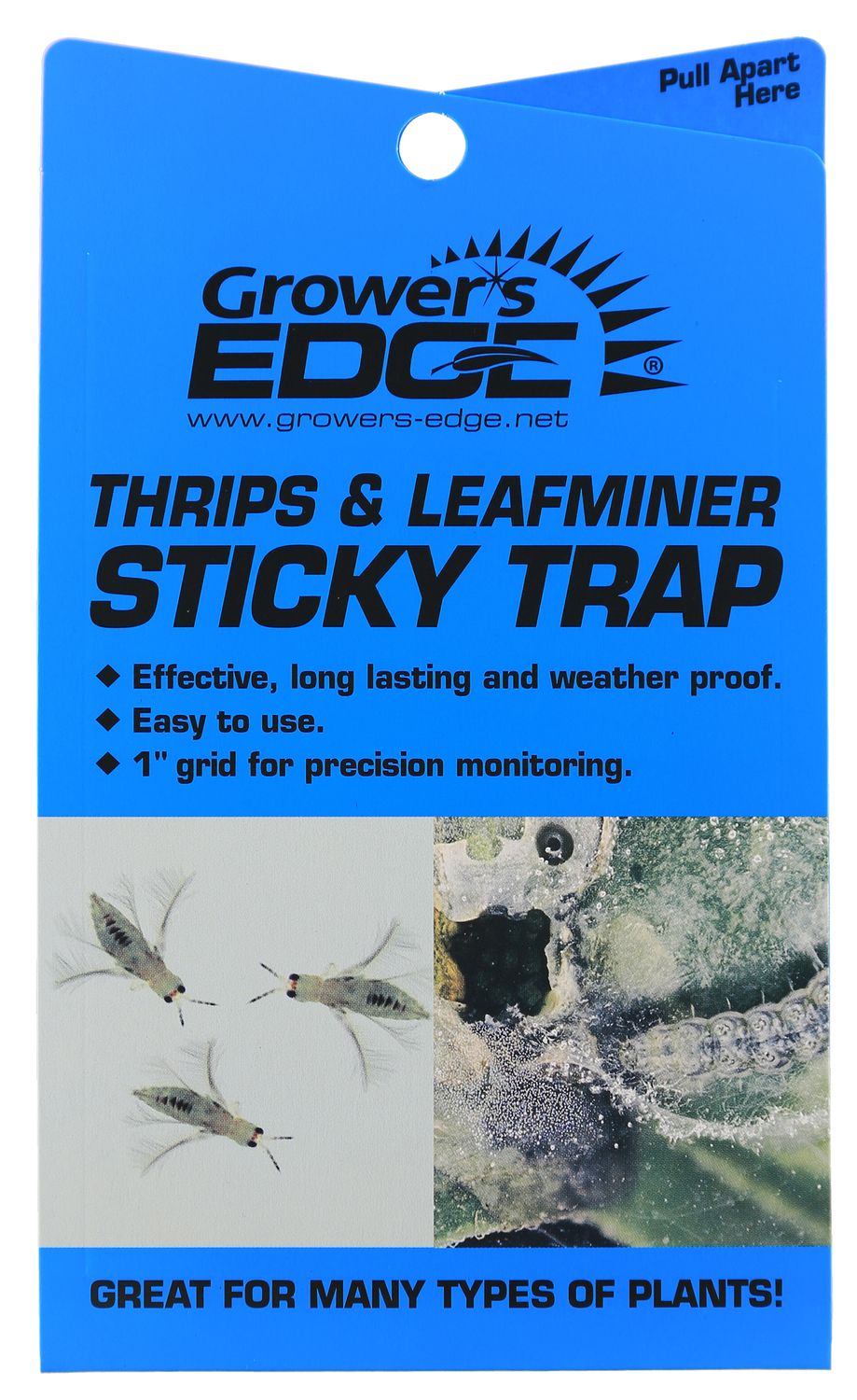 BLUE STICKY TRAPS (THRIPS &amp; LEAFMINERS) 5 PACK
