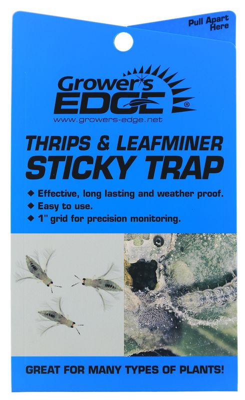 BLUE STICKY TRAPS (THRIPS &amp; LEAFMINERS) 5 PACK