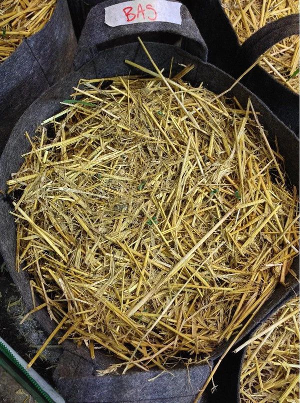 BUILD A SOIL STRAW MULCH 1 CU FT