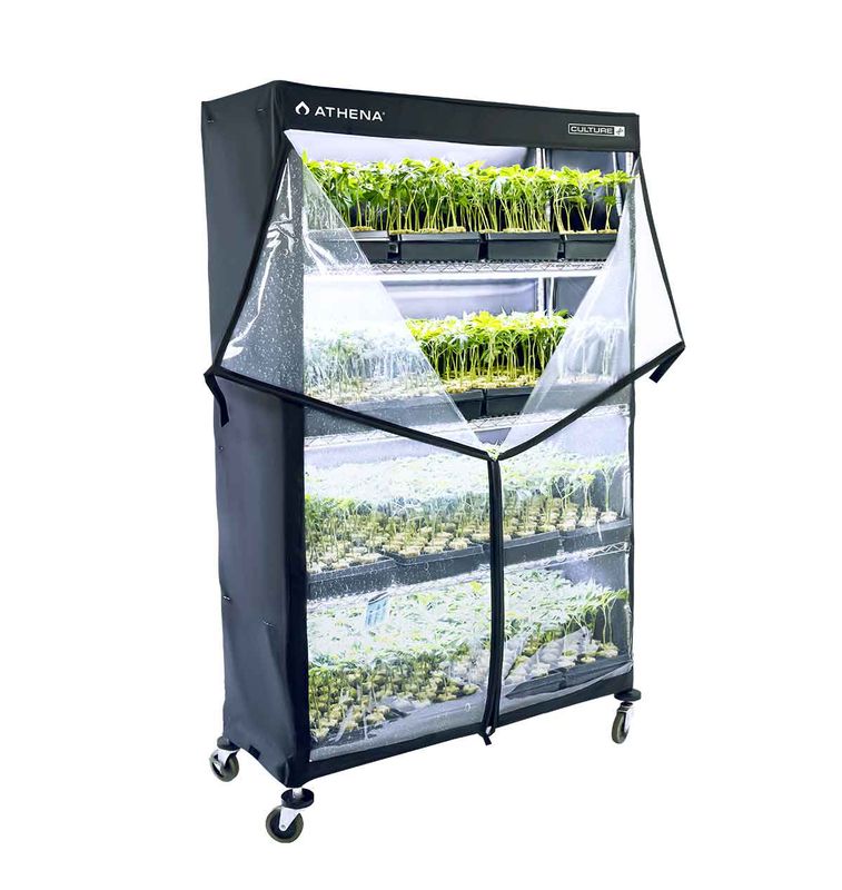 ATHENA VPD DOME (RACK SYSTEM PLASTIC DOME)