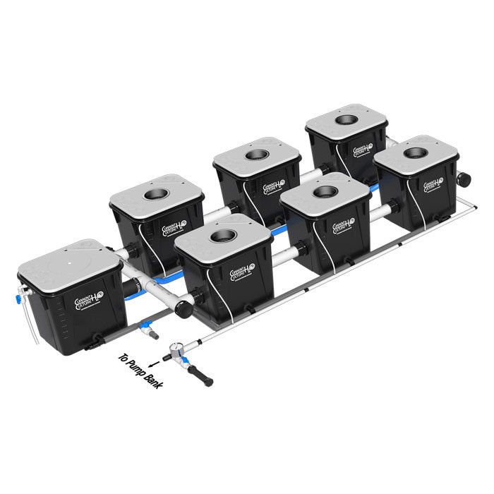 CURRENT CULTURE UC6 18" SPACING