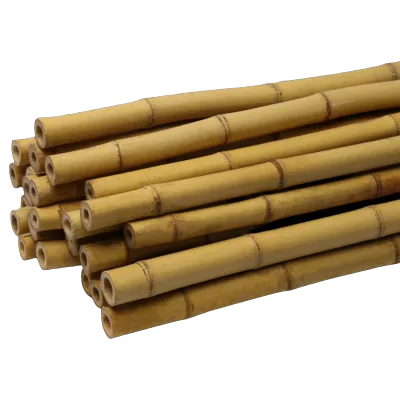 BAMBOO STICKS