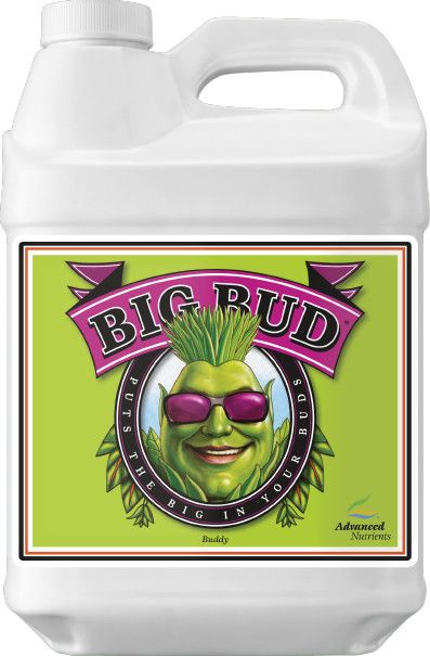 ADVANCED NUTRIENTS BIG BUD 250ML