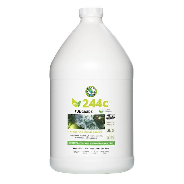 SNS 244C FUNGICIDE CONCENTRATE 1 GAL