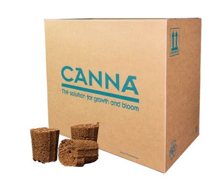 CANNA ROOTPLUGS 1000 PACK