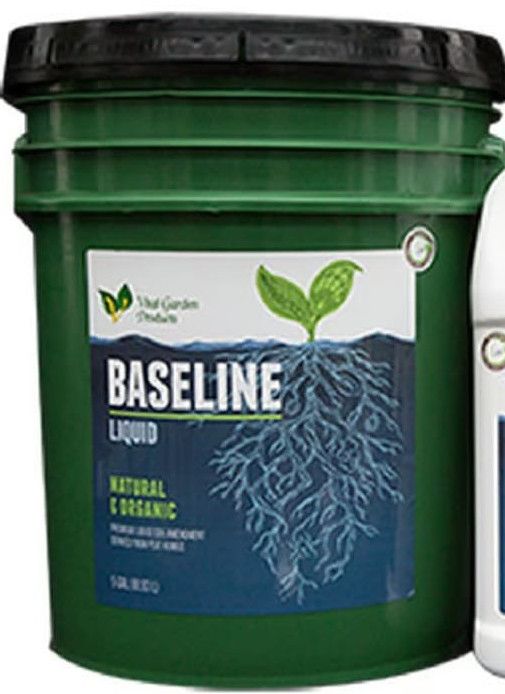 VITAL BASELINE LIQUID HUMMUS 5 GAL