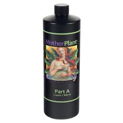 MOTHER PLANT A QUART
