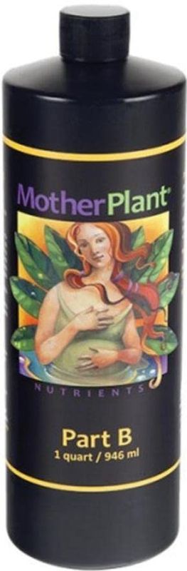 MOTHER PLANT B QUART