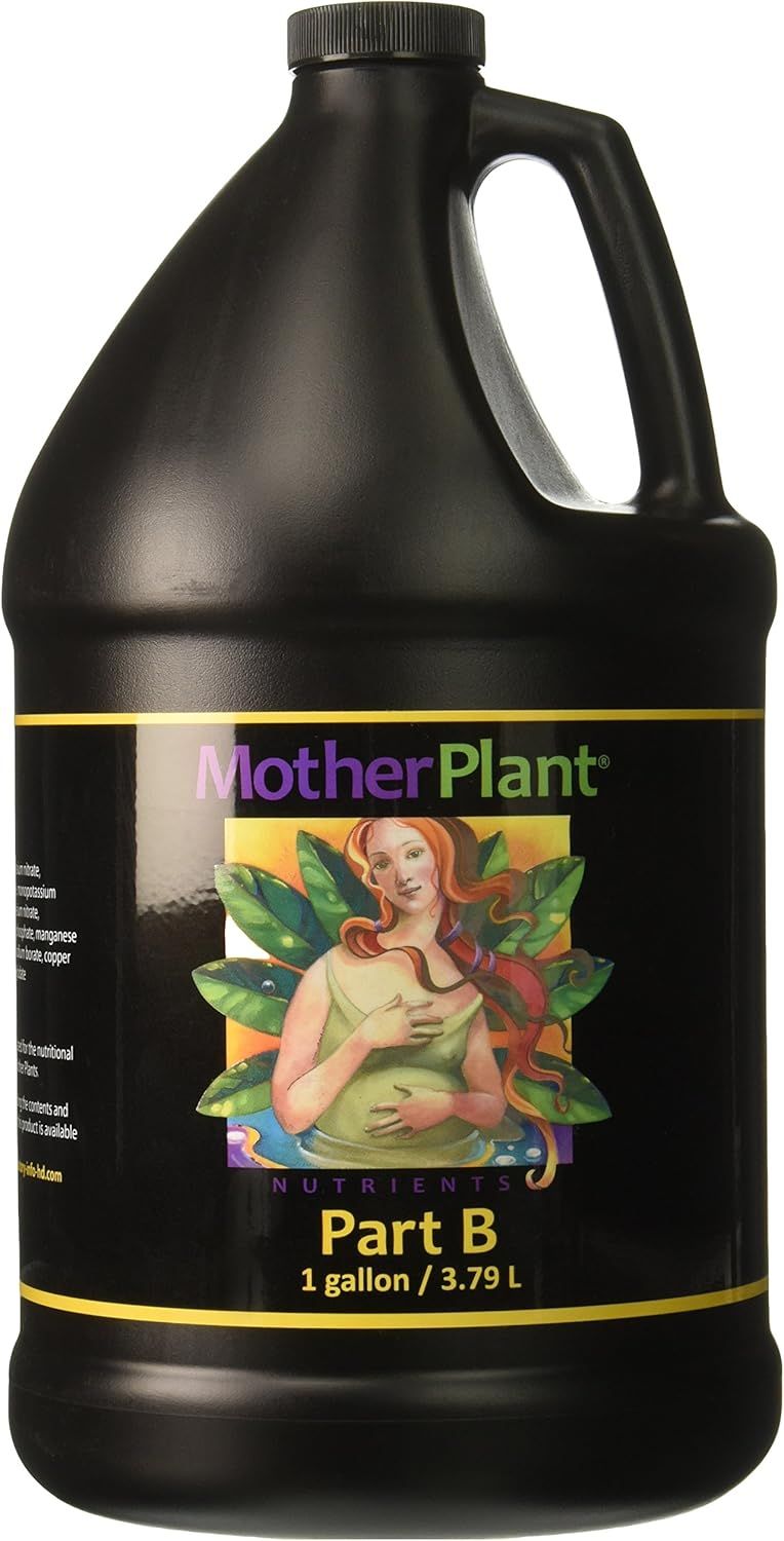 MOTHER PLANT B GAL