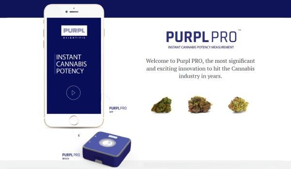PURPL PRO THC SINGLE TEST